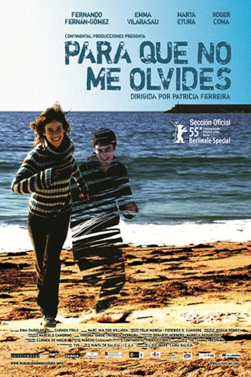 Something to Remember Me By poster
